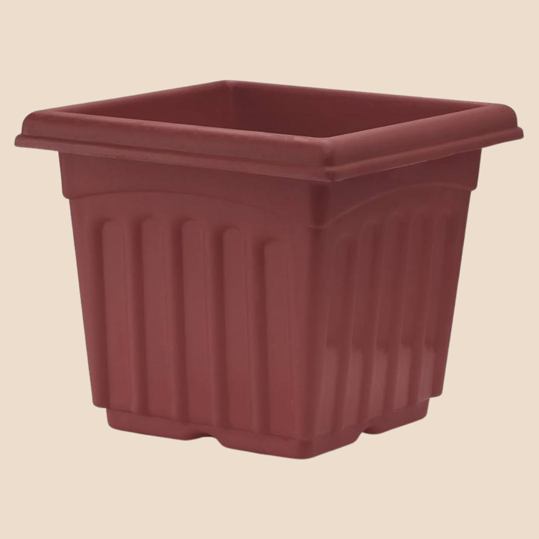 6×6 inch square pot