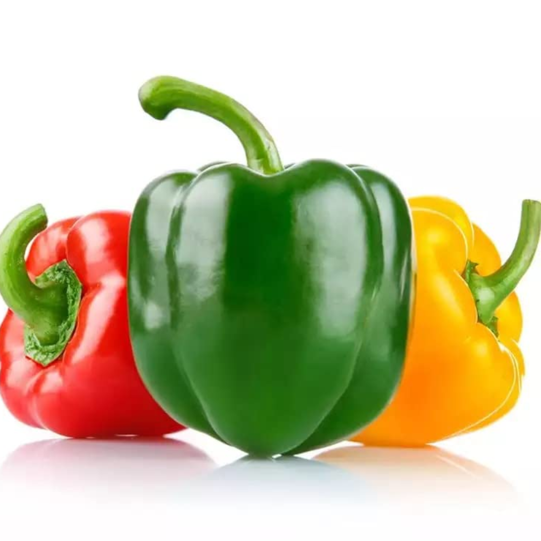 Bell Pepper (Shimla Mirch Capsicum)