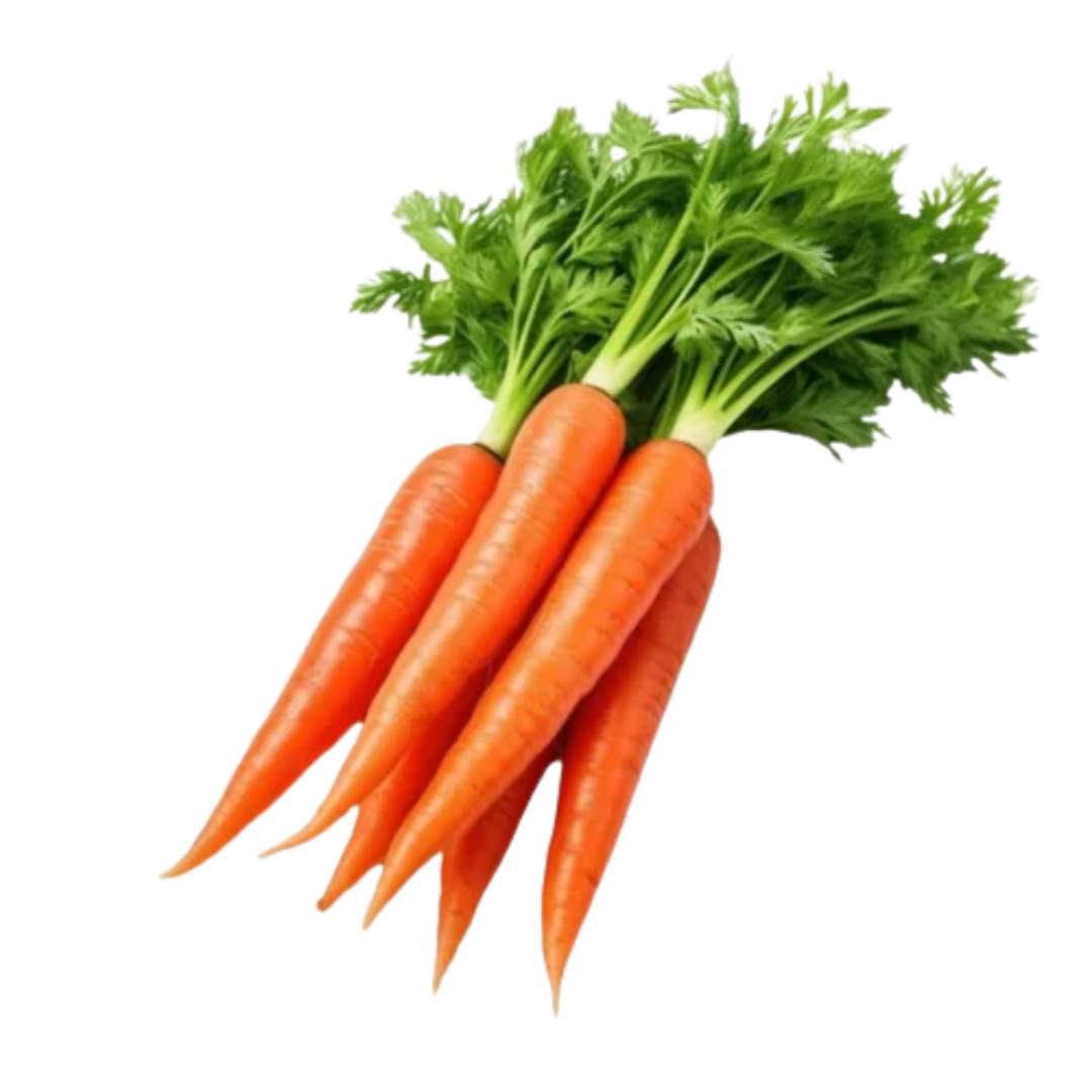 Carrot (Gajar)
