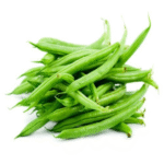 Fresh green beans (Phali/French beans) in a garden pot, vibrant green, tender pods ready for harvesting or cooking.