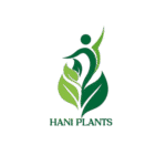 Haniplants is a trusted website offering high-quality indoor and outdoor plants.