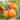 Buy Persimmon (japani phal) Grafted Plant