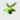 Java Plum Plan