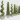 Braided Topiary Plants – Ficus Spiral