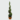 Braided Topiary Plants – Ficus Spiral